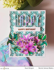 Die Bundle Layered Snowflake Stars Cover Die A B