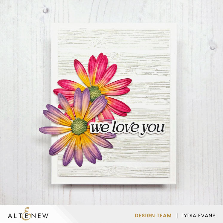 Die & Embossing Folder Bundle Lush Botanicals: African Daisy 3D Embossing Folder & Die Set