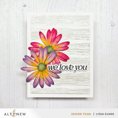 Die & Embossing Folder Bundle Lush Botanicals: African Daisy 3D Embossing Folder & Die Set