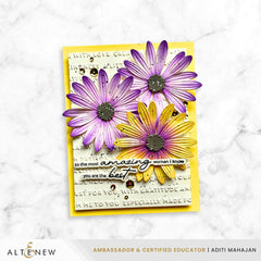 Die & Embossing Folder Bundle Lush Botanicals: African Daisy 3D Embossing Folder & Die Set