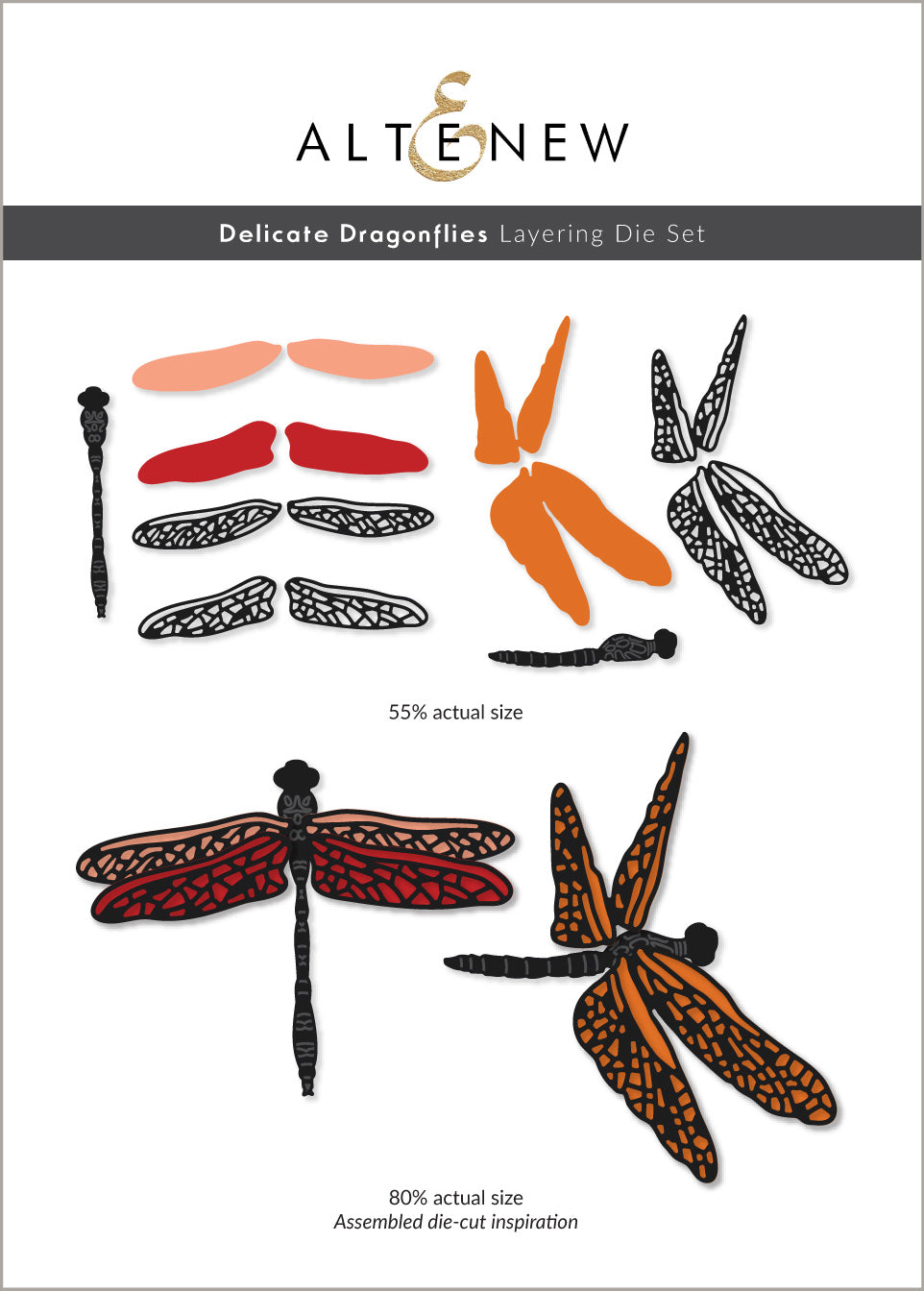 Die & Hot Foil Plate Bundle Delicate Dragonflies