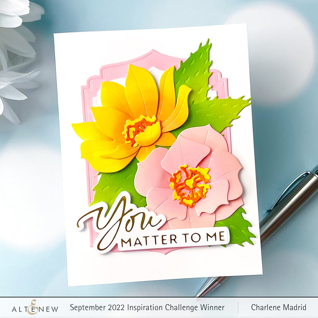 Die & Hot Foil Plate Bundle Encouraging Sentiments