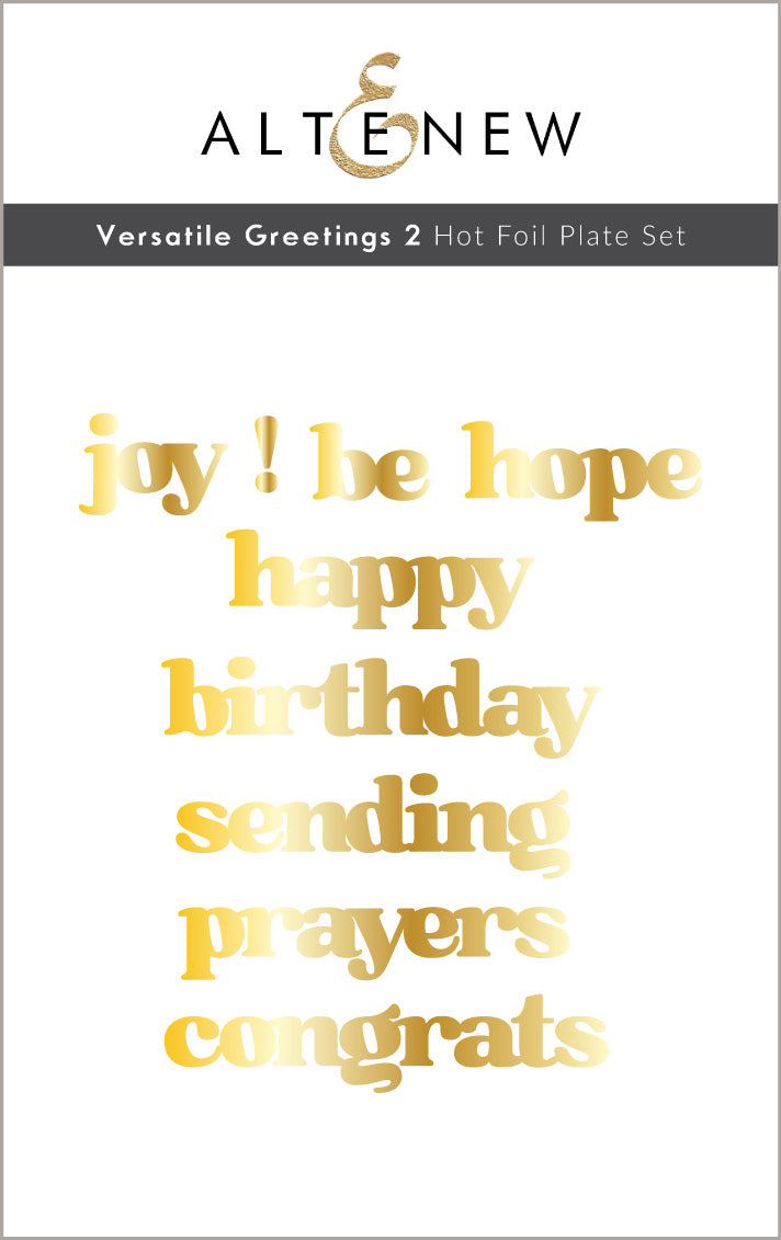 Die & Hot Foil Plate Bundle Versatile Greetings 2