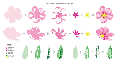 Die & Paper Bundle Craft-A-Flower: Cistus Layering Die Set & Modern Colors Gradient Cardstock Bundle