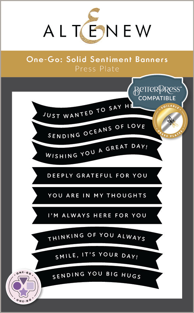 Die & Stamp & Betterpress Plate Bundle Solid Sentiments Starter Bundle