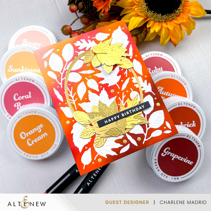 Die & Stamp & Betterpress Plate Bundle Solid Sentiments Starter Bundle