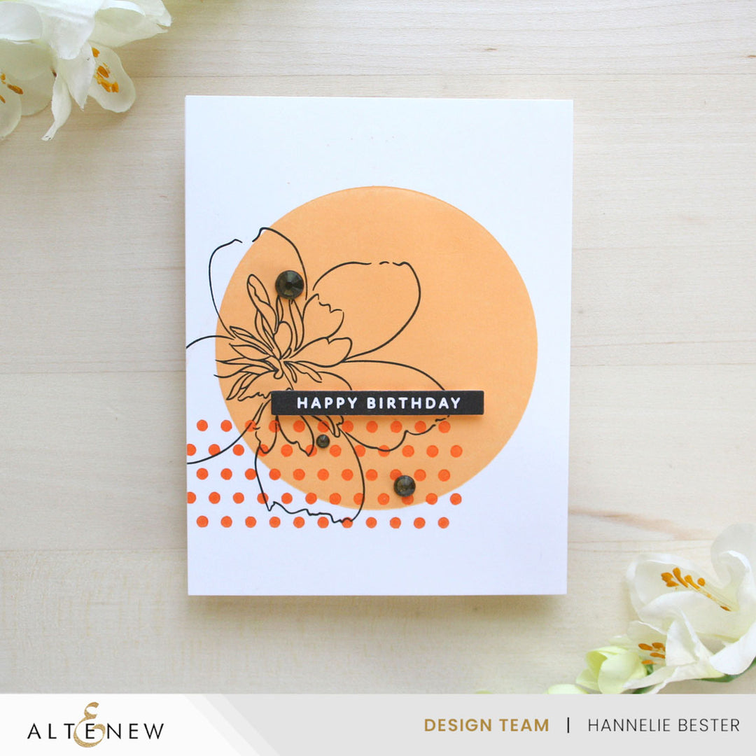 Die & Stamp & Betterpress Plate Bundle Solid Sentiments Starter Bundle