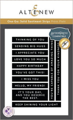 Die & Stamp & Betterpress Plate Bundle Solid Sentiments Starter Bundle