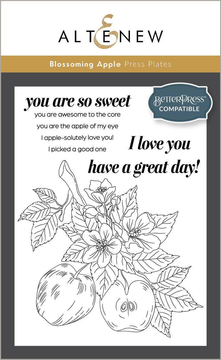 DIe & Stencil & Betterpress Plate Bundle Blossoming Apple