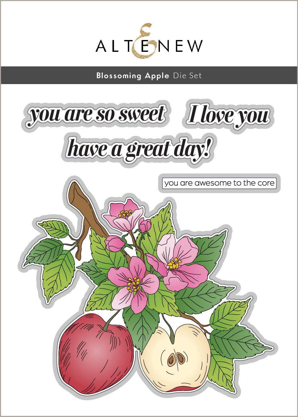 DIe & Stencil & Betterpress Plate Bundle Blossoming Apple