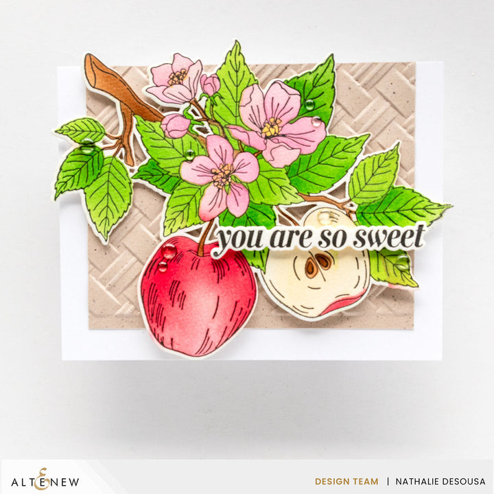 DIe & Stencil & Betterpress Plate Bundle Blossoming Apple