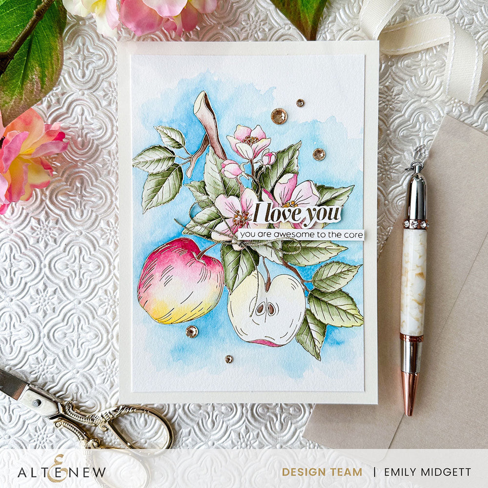 DIe & Stencil & Betterpress Plate Bundle Blossoming Apple