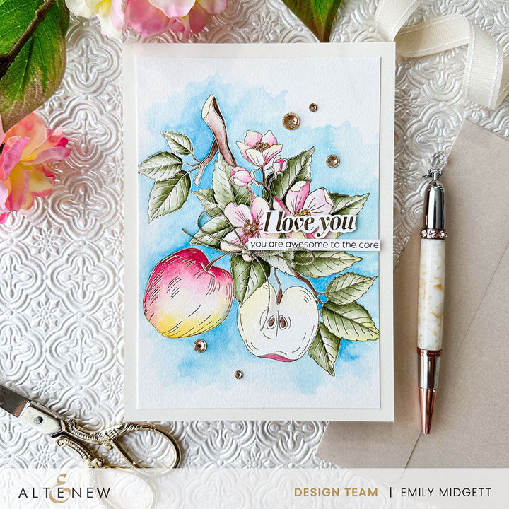 DIe & Stencil & Betterpress Plate Bundle Blossoming Apple