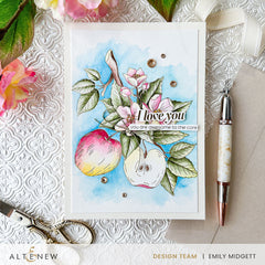 DIe & Stencil & Betterpress Plate Bundle Blossoming Apple
