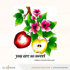 DIe & Stencil & Betterpress Plate Bundle Blossoming Apple