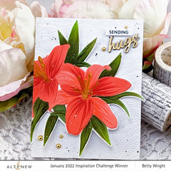 Die & Stencil Bundle Dotted Waves