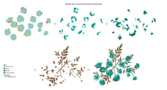 Die & Stencil Bundle Meadow Bush Layering Stencil & Die Bundle