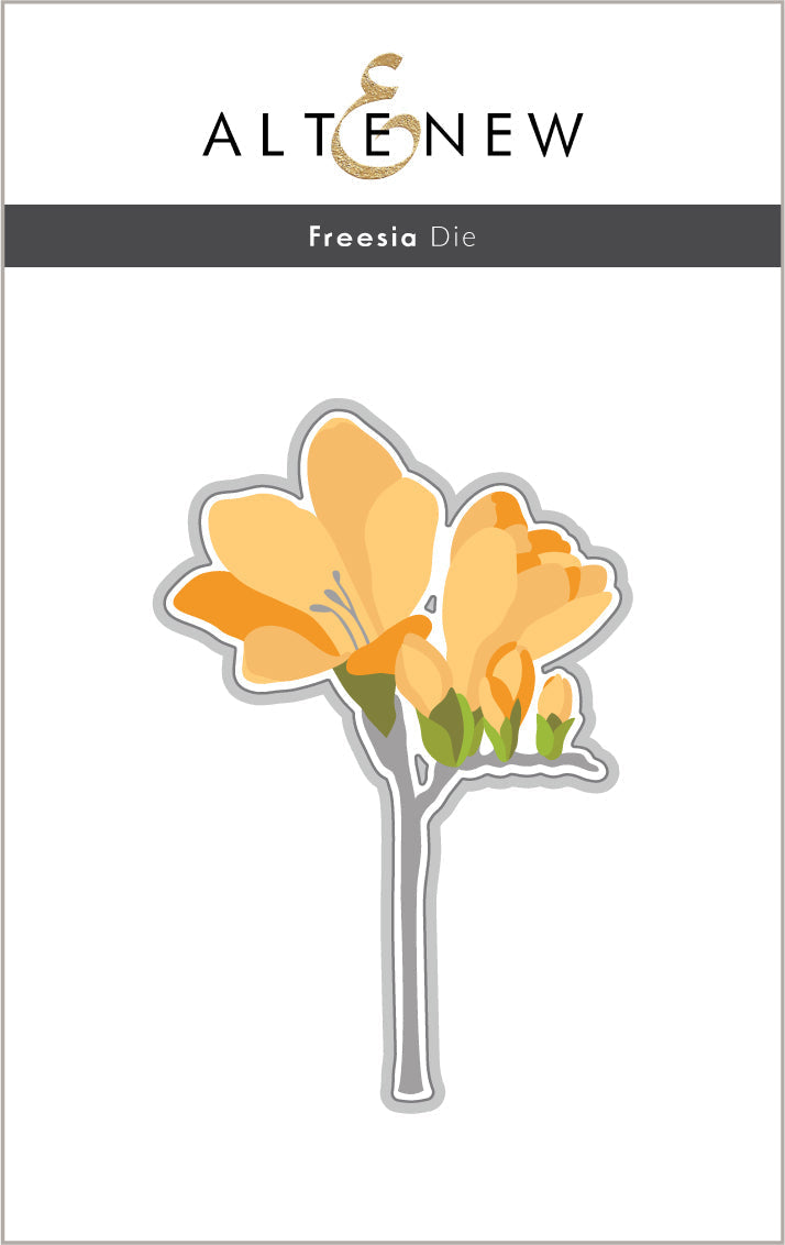 Die & Stencil & Hot Foil Plate Bundle Freesia