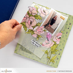 Dies & Betterpress Plate Bundle Celebration Sentiments
