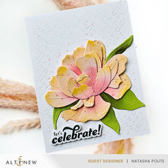 Dies & Betterpress Plate Bundle Celebration Sentiments