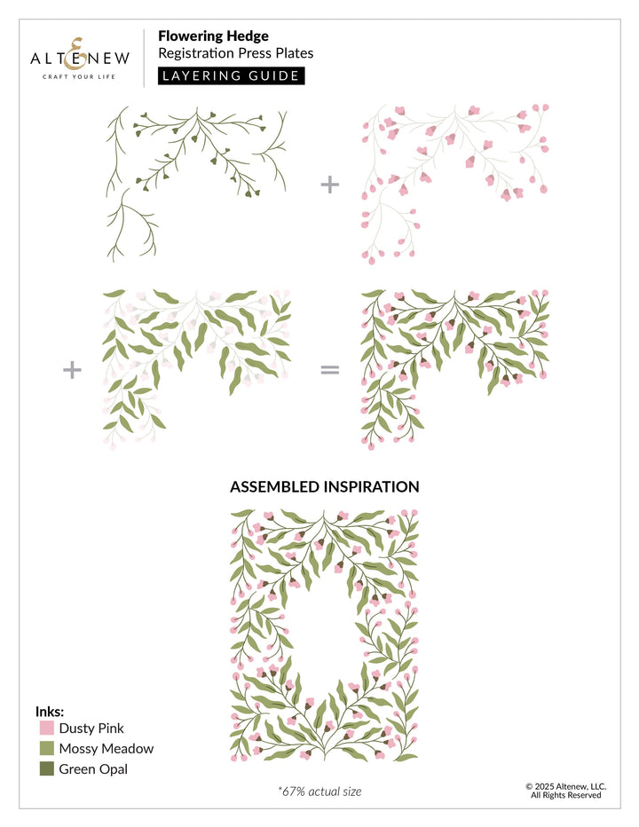 Dies & Betterpress Plate Bundle Flowering Hedge