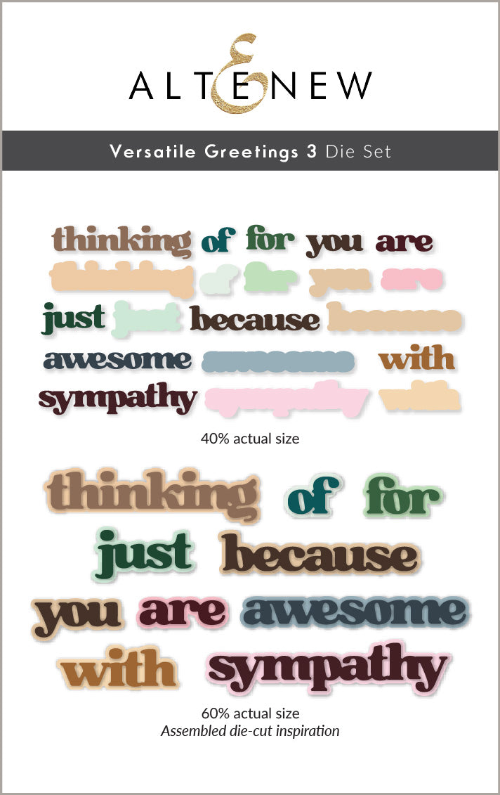 Dies & Betterpress Plate Bundle Versatile Greetings 3 Comfort Edition