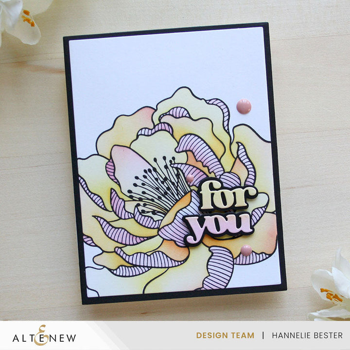 Dies & Betterpress Plate Bundle Versatile Greetings 3 Comfort Edition