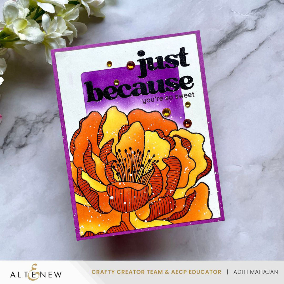 Dies & Betterpress Plate Bundle Versatile Greetings 3 Comfort Edition