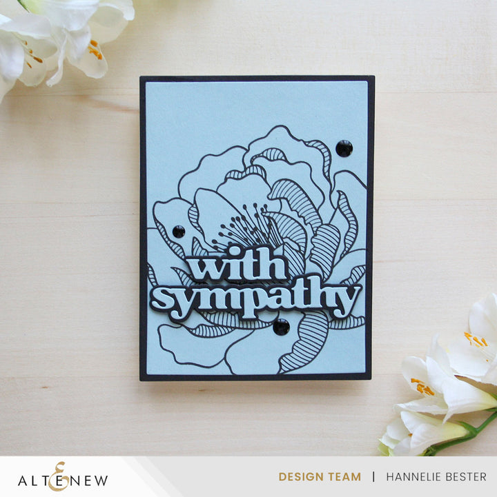 Dies & Betterpress Plate Bundle Versatile Greetings 3 Comfort Edition