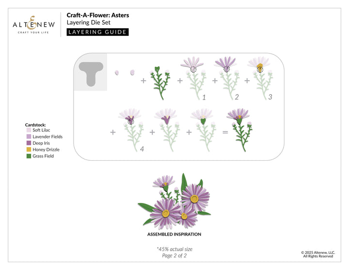 Dies Craft-A-Flower: Asters Layering Die Set