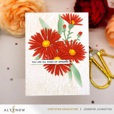 Dies Craft-A-Flower: Asters Layering Die Set
