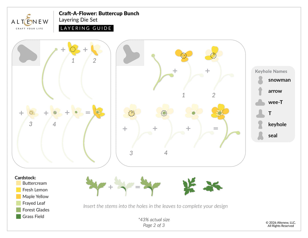 Dies Craft-A-Flower: Buttercup Bunch Layering Die Set