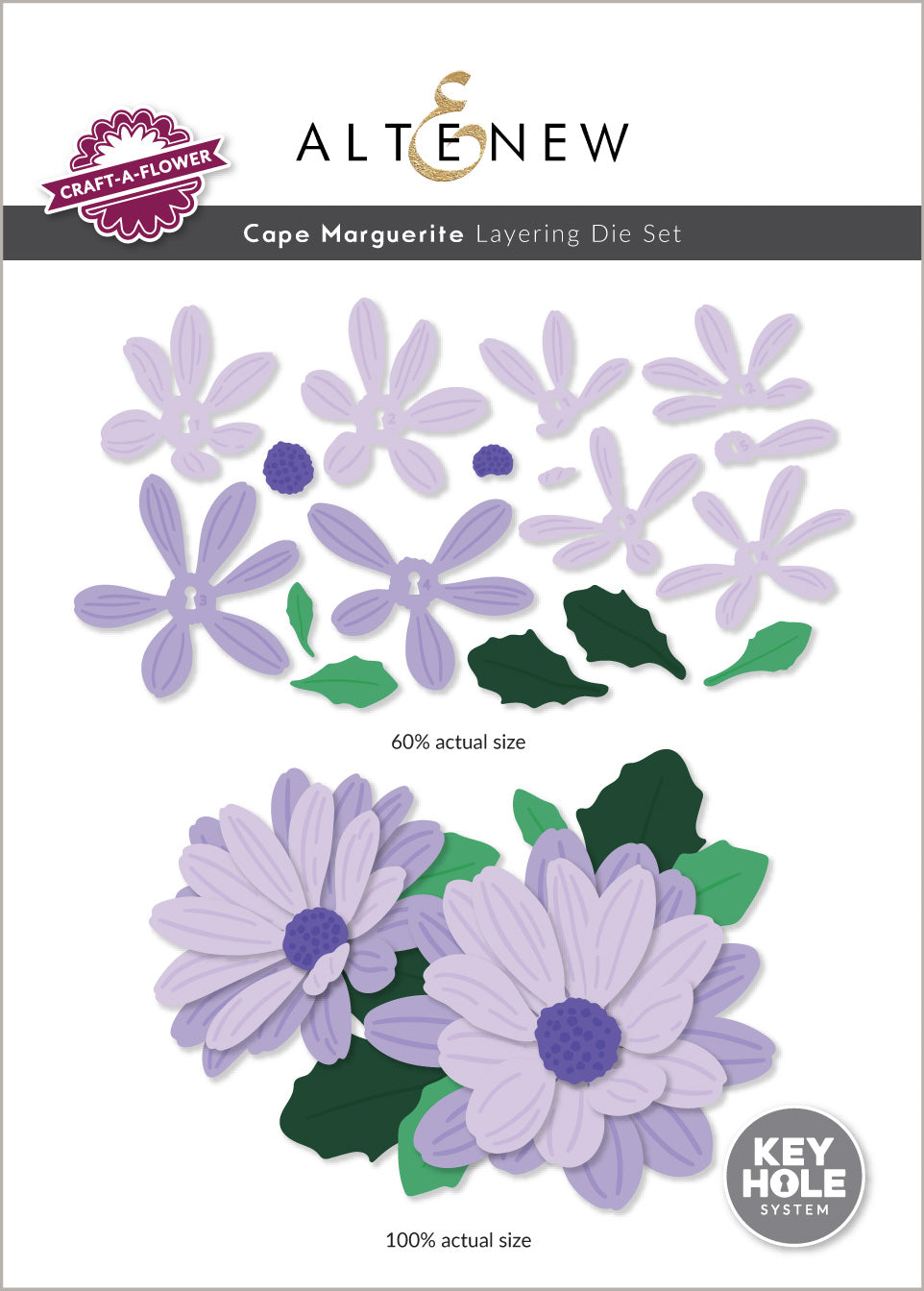 Dies Craft-A-Flower: Cape Marguerite Layering Die Set
