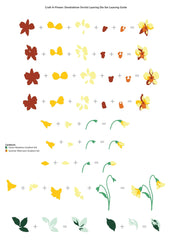 Dies Craft-A-Flower: Dendrobium Orchid Layering Die Set