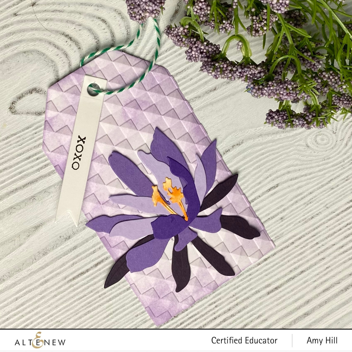 Dies Craft-A-Flower: Epiphyllum Layering Die Set