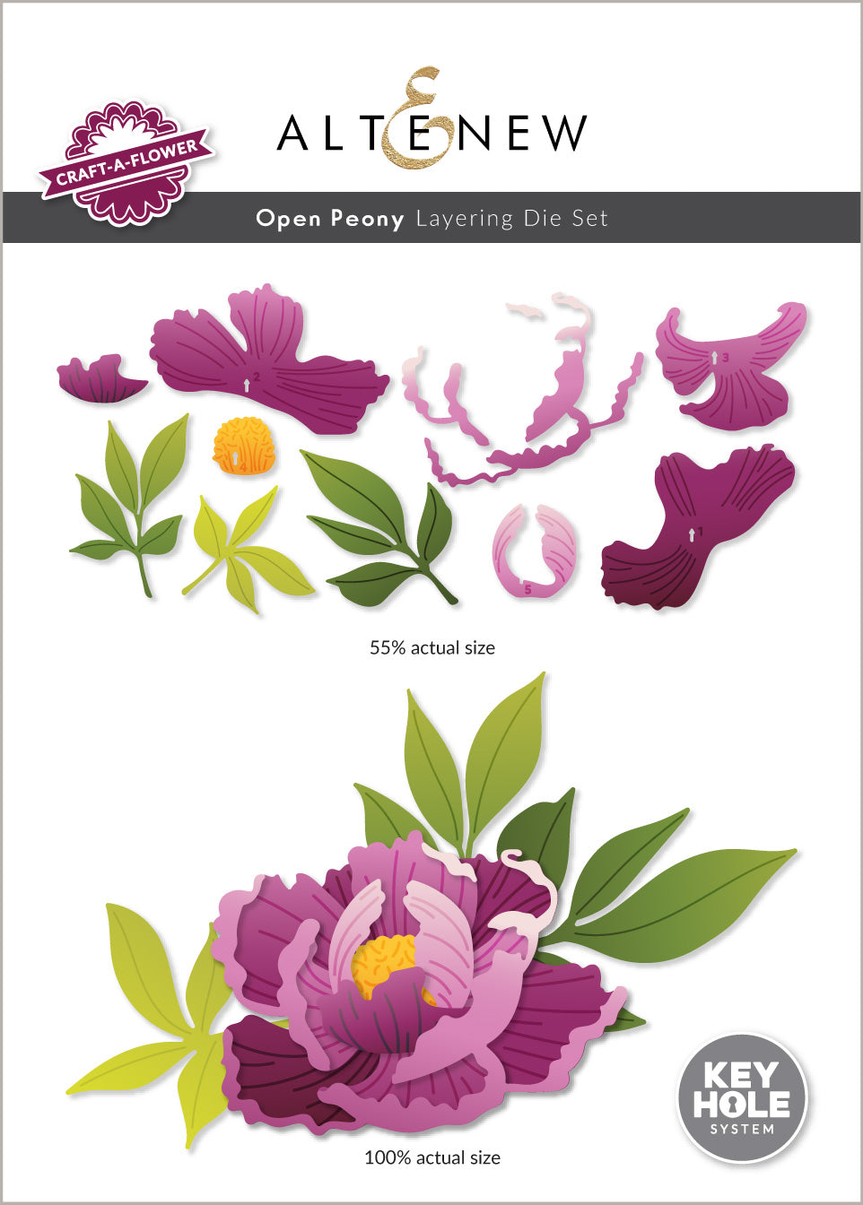 Dies Craft-A-Flower: Open Peony Layering Die Set