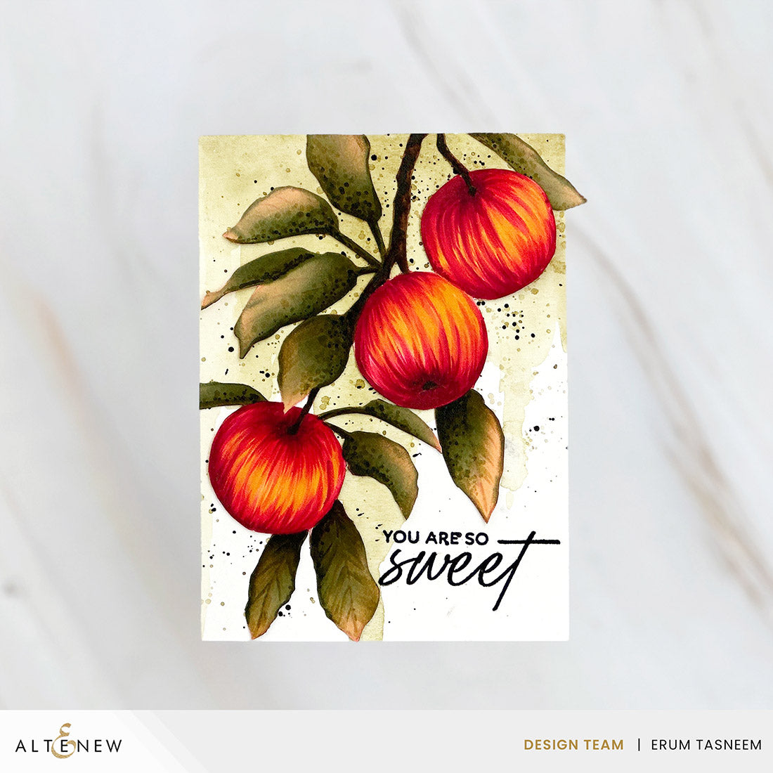 Dies Craft Your Life Project Kit: Sweet Harvest Add-On Die Set