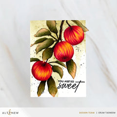 Dies Craft Your Life Project Kit: Sweet Harvest Add-On Die Set