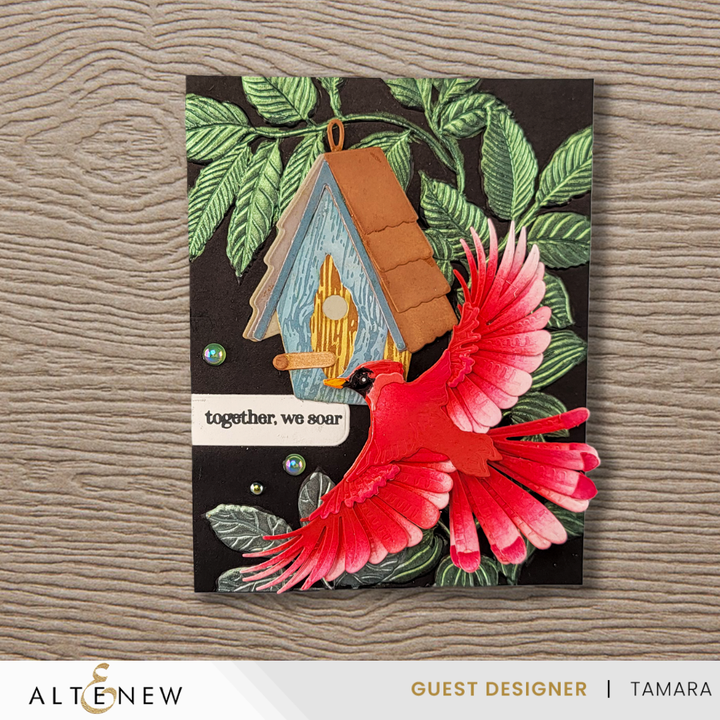 Dies Creative Cuts: Feathered Beauty Layering Die Set
