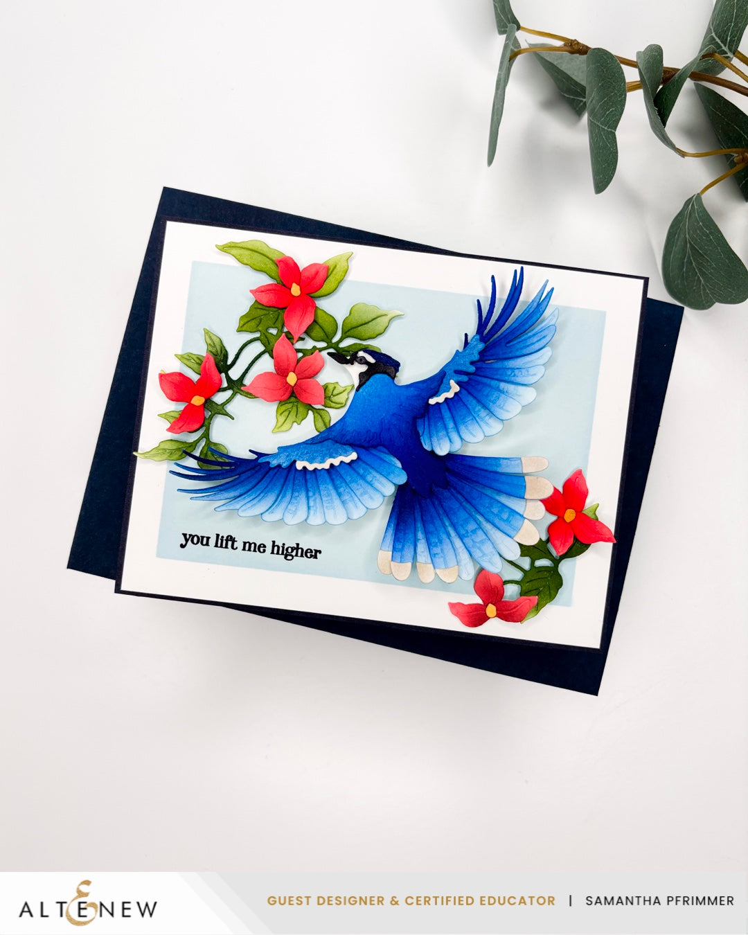 Dies Creative Cuts: Feathered Beauty Layering Die Set