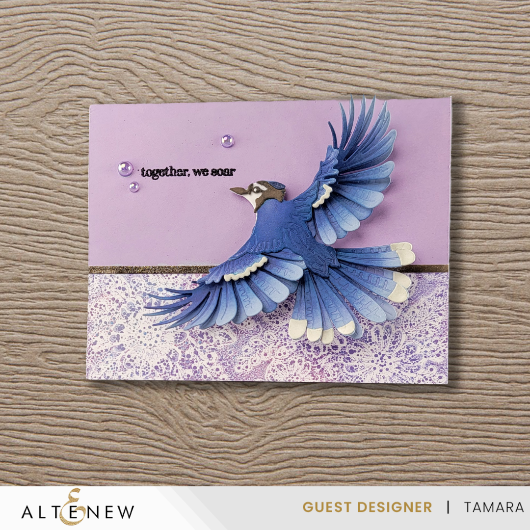 Dies Creative Cuts: Feathered Beauty Layering Die Set