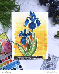 Dies Cross Stitch Canvas Die