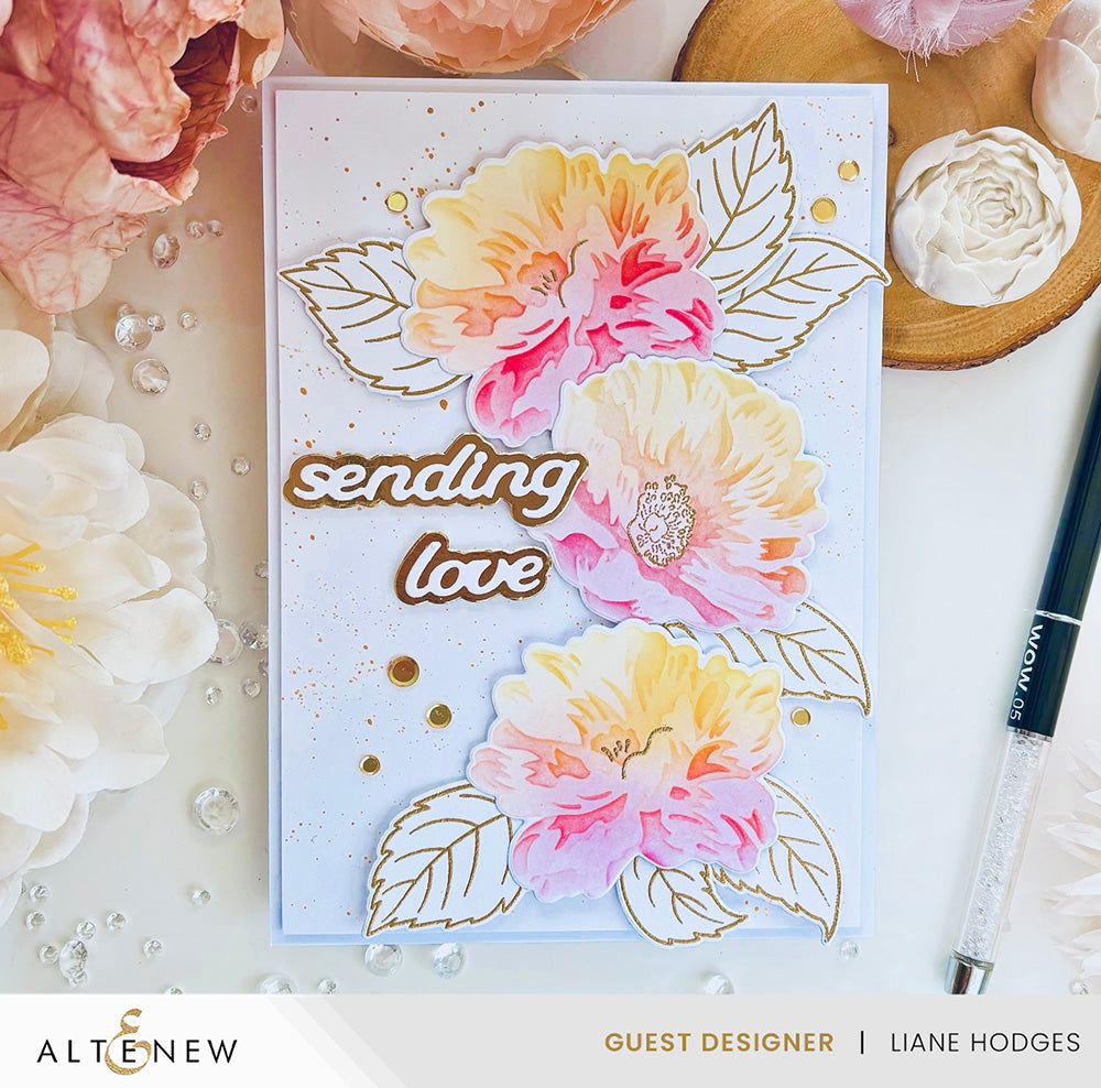 Dies Dynamic Duo: Watercolor Dreams Add-on Die Set