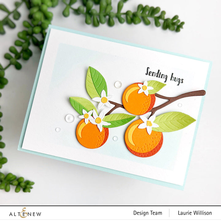 Dies Orange Blossom Die Set