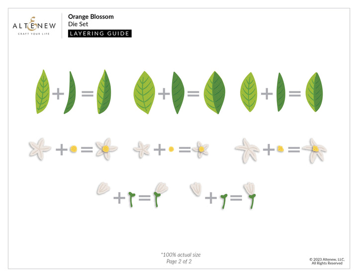 Dies Orange Blossom Die Set