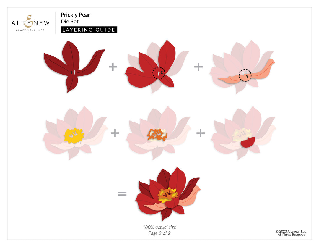 Dies Prickly Pear Die Set