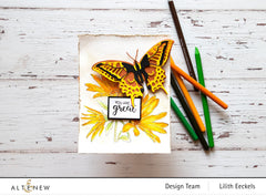Dies Swallowtail Butterfly Die Set