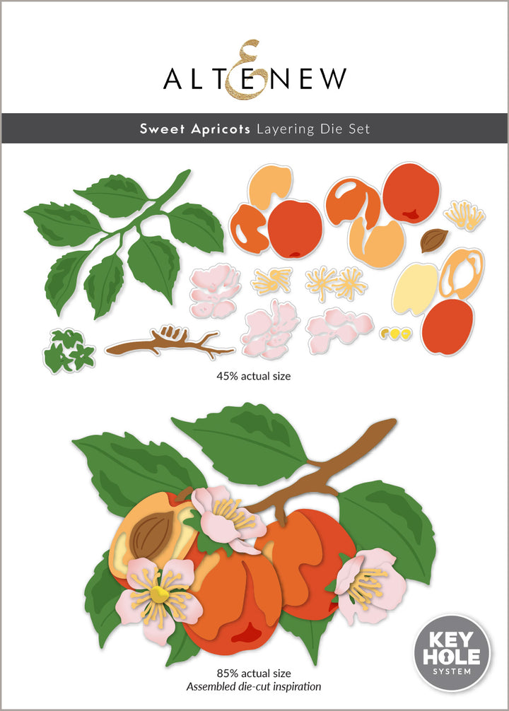 Dies Sweet Apricots Layering Die Set