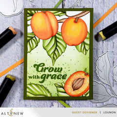 Dies Sweet Apricots Layering Die Set
