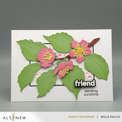 Dies Sweet Apricots Layering Die Set